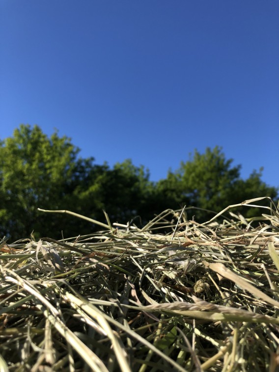 terroir terroir